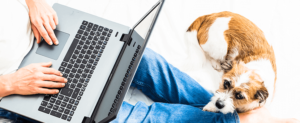 Easing the Transition to Work-from-home Technologies